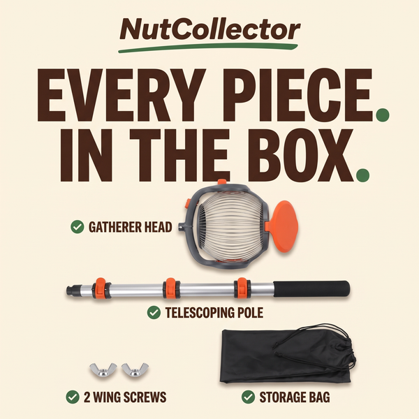 Everything in the NutCollector box